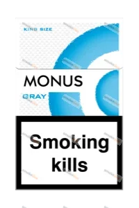 MONUS GRAY King size